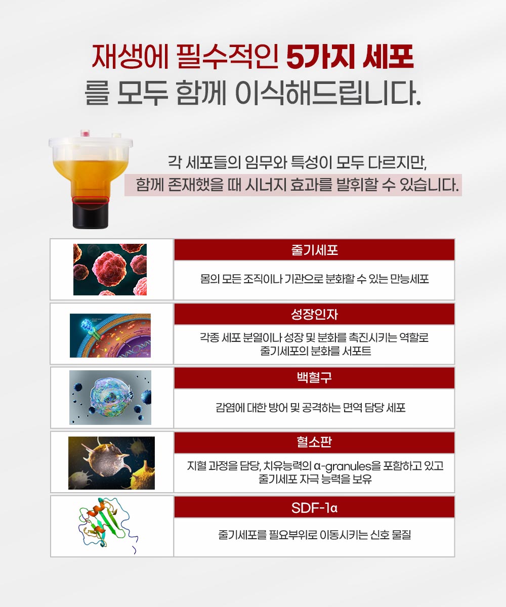 랜딩이미지